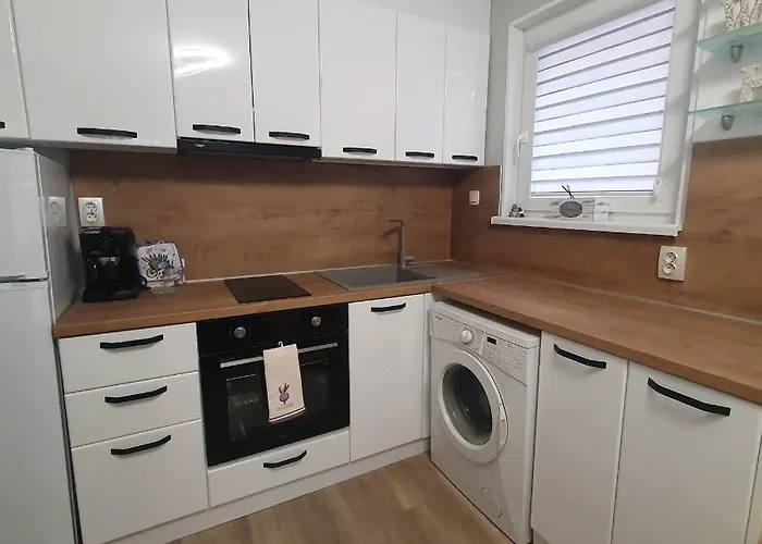 Apartment Voivoda